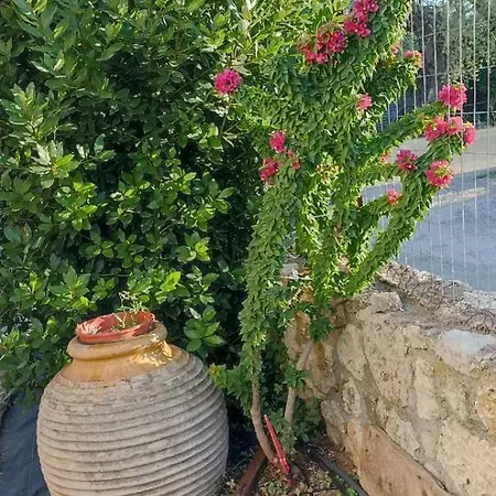 Politimis House * Makrinara