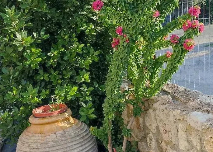 Politimis House * Makrinara