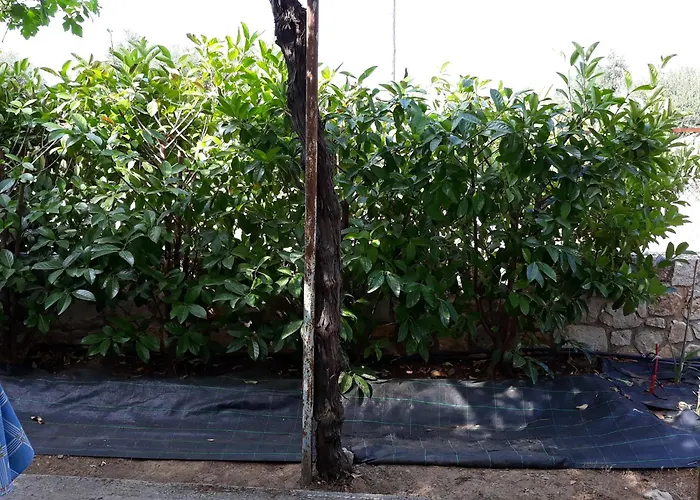 Feriehus Politimis House Makrinara